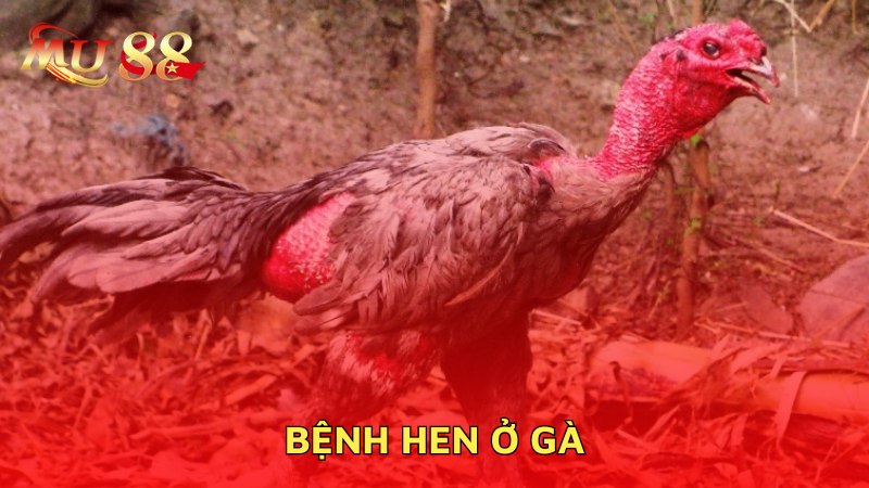 Bệnh hen ở gà