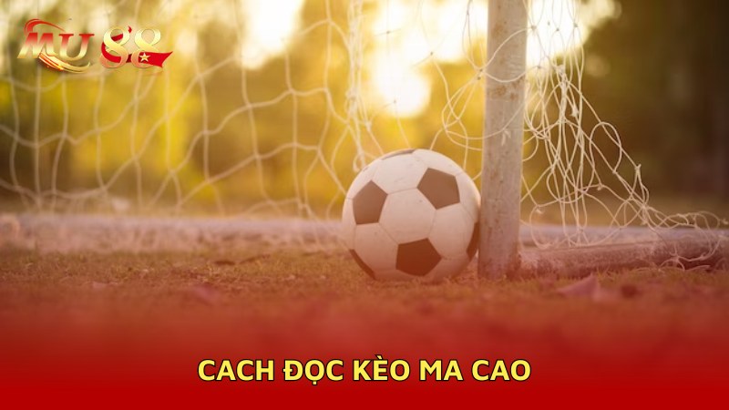 Cách đọc kèo Macau